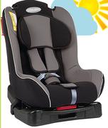 Little One Car Seat