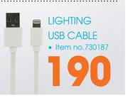 Lighting USB Cable