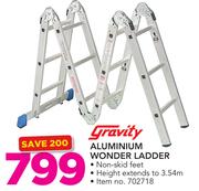 Gravity Aluminium Wonder Ladder