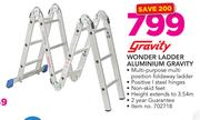 Gravity Wonder Ladder Aluminium Gravity