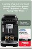Delonghi Magnifica Evo Coffee Machine ECAM290.21.B-Each
