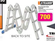 Stramm Multifunction Ladder