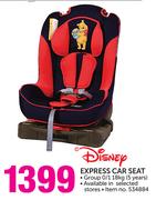 Disney Express Car Seat