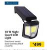 Solar Flair 10W Night Guard LED Light