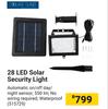 Solar Flair 28 LED Solar Security Light