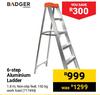 Badger 6 Step Aluminium Ladder