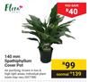 Flora 140mm Spathiphyllum Cover Pot
