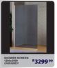 Shower Screen 1200 x 1200 CHR/Grey