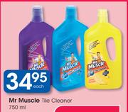 Mr Muscle Tile Cleaner-750ml Each
