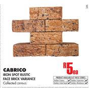 Cabrico Iron Spot Rustic Face Brick Variance Collected-Ea