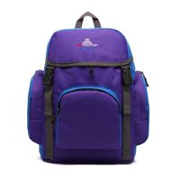 Red Mountain Urban 20 School Backpack - Violet & Sorento