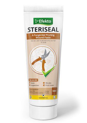 Efekto Steriseal (100ml)