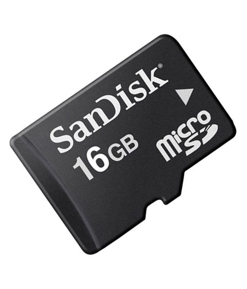 SanDisk 16 GB: SDSQUNS-016G-GN3MN