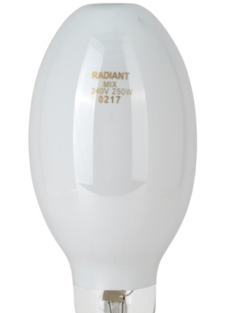 Radiant E27 Mer Blended (250w)