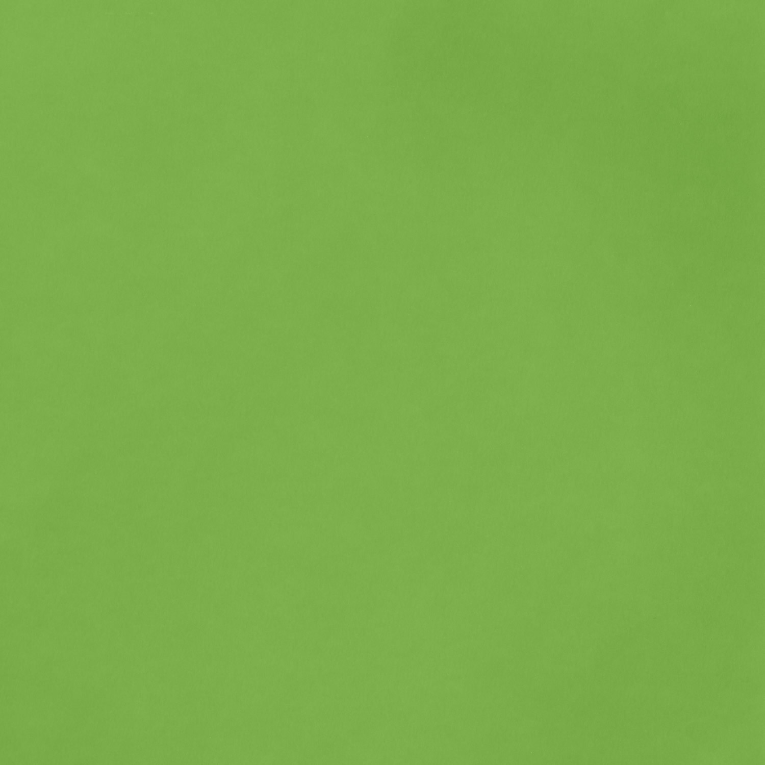 American Crafts Cardstock 12x12 Textured - Grass