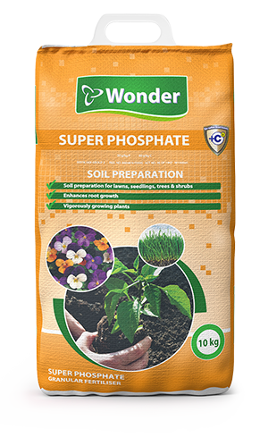 Efekto Wonder B4048 Super Phosphate + C (5kg)