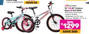 Raleigh 16" Or 20" Enduro Boys Or Girl BMX-Each