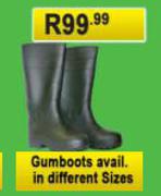 Gumboots 