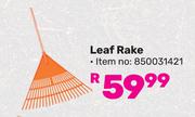 Garden Master Leaf Rake