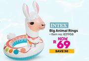 Intex Big Animal Rings