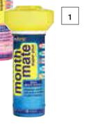 Pool Brite 1.5Kg Month Mate Floater-Each