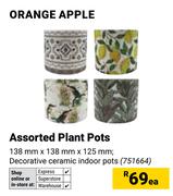 Orange Apple Assorted Plant Pots-Each