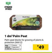Starke Ayres 1 dm3 Palm Peat