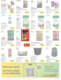 Builders : Welcome Back, Spring (16 September - 03 November 2025), page 19