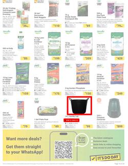 Builders : Welcome Back, Spring (16 September - 03 November 2025), page 19