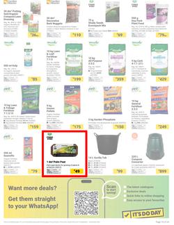 Builders : Welcome Back, Spring (16 September - 03 November 2025), page 19