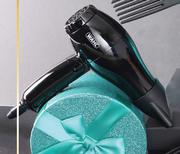 Wahl Foldable Travel Hair Dryer 1000W