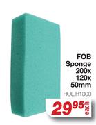 FOB Sponge 200x120x50mm