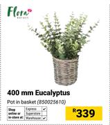 Flora 400mm Eucalyptus 850025610