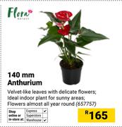 Flora 140mm Anthurium 657757