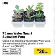 LVG 75mm Water Smart Succulent Pots 416663-Each