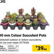 LVG 90mm Colour Succulent Pots 477654-Each