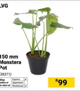 LVG 150mm Monstera Pot