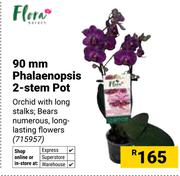 Flora 90mm Phalaenopsis 2-Stem Pot 715957
