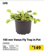 LVG 100mm Venus Fly Trap In Pot 38608