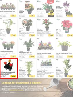 Builders : Make It A Home For The Holidays (02 December 2025 - 02 February 2026), page 5