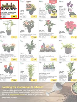 Builders : Make It A Home For The Holidays (02 December 2025 - 02 February 2026), page 5