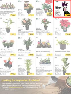 Builders : Make It A Home For The Holidays (02 December 2025 - 02 February 2026), page 5