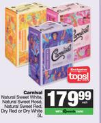 Carnival Natural Sweet White/Rose/Red, Dry Red Or Dry White-5L Each