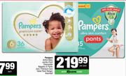 Pampers Active Baby Jumbo Pack Disposable Nappies Or Pants(Incl. Premium Care Value Pack)-Per Pack