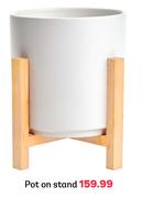 Pot On Stand