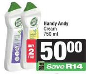   Handy Andy Cream-For 2 x 750ml