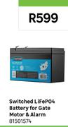 Switched LiFeP04 Battery For Gate Motor & Alarm 81501574