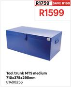 Tool Trunk MTS Medium 710 x 375 x 295mm 81490256