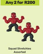 Squad Stretchies Assorted-For Any 2
