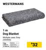 Westermans 1m Dog Blanket 593959